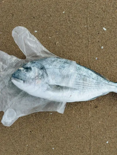 Plastic
