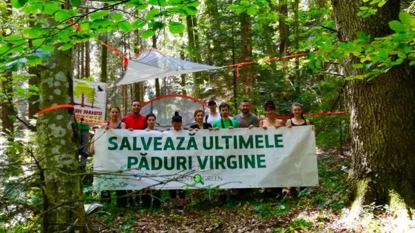 Protejarea Pădurilor Virgine