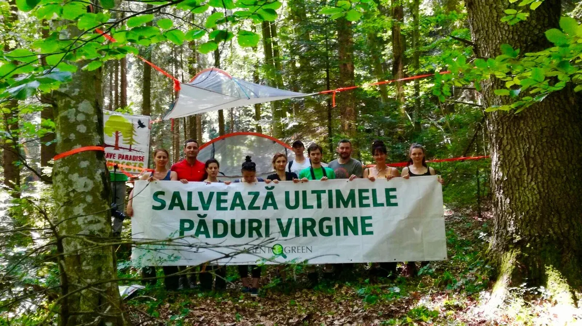Comunidades resistentes para bosques resilientes