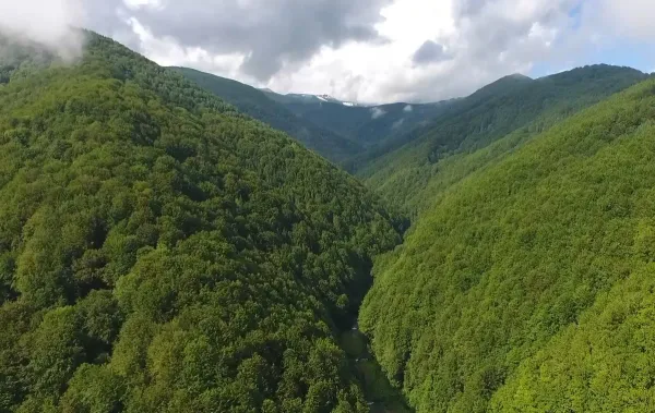 Romania’s Living Backbone