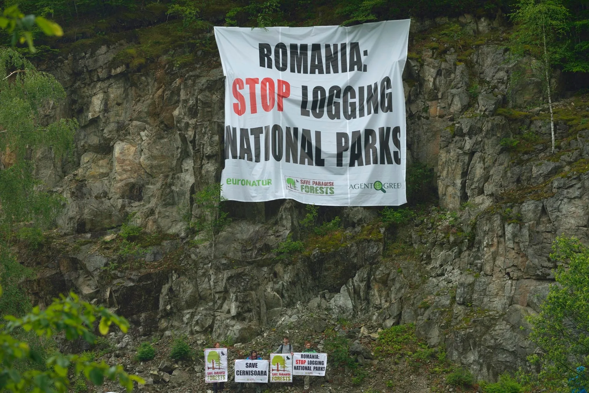 Bannière « Romania: Stop logging national parks » sur une paroi rocheuse, avec des militants et des pancartes à son pied