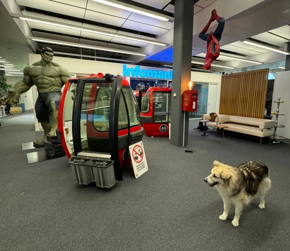 Spazio di lavoro Infomaniak a Ginevra, con una cabina rossa di funivia, una statua di Hulk e un cane da pastore.
