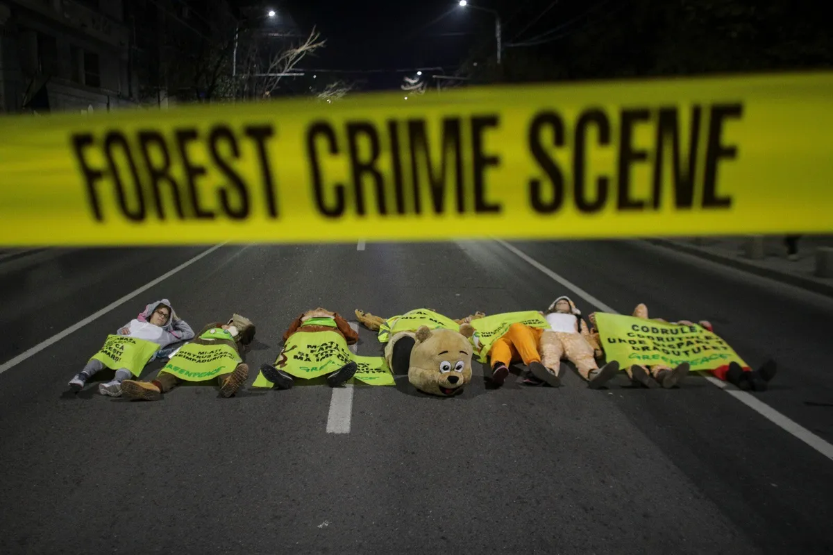 Persoane întinse pe carosabil în spatele unei benzi „Forest Crime Scene”.