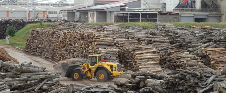 Una macchina gialla davanti a cataste di tronchi in un sito industriale.
