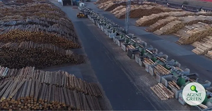 Veduta aerea di un piazzale con tronchi e impianti di lavorazione del legno, con il logo Agent Green.