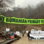 Salvate la foresta primaria romena