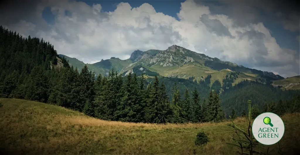 Paesaggio montano con pascolo e foresta nel futuro Parco Nazionale Ciucaș.