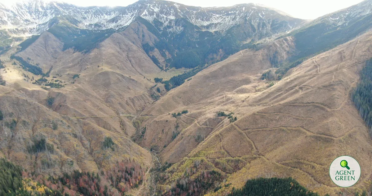 Mountain valley with forests, slopes and snow-covered ridges, with the Agent Green logo.