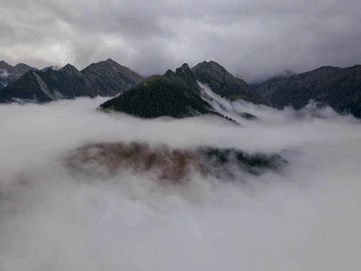 Creste montane și păduri parțial acoperite de nori.