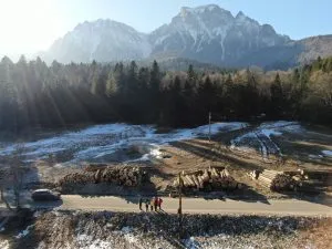 Depozit de trunchiuri tăiate, cu pădure și munți în fundal.