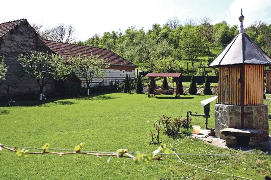 Ein begrünter Hof mit Haus und Wirtschaftsgebäuden.