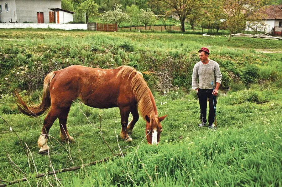 Ein grasendes Pferd und ein Mann daneben am Ufer eines Bachs.