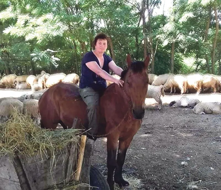 Eine Frau auf einem Pferd neben Schafen und Heuballen.