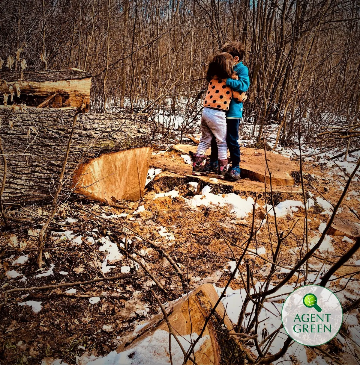 Two people embrace beside stumps and felled trunks, with the Agent Green logo.