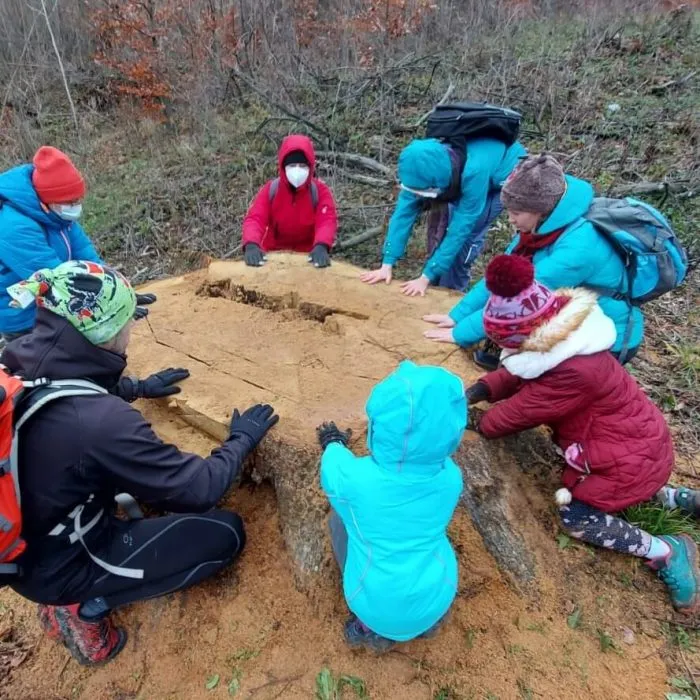 Children and adults around a large stump.