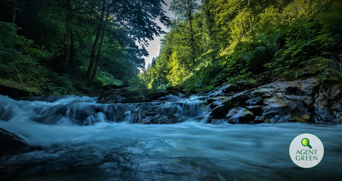 Un fiume tra le rocce in una foresta, con il logo di Agent Green.