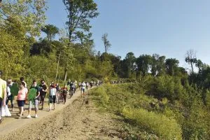 Un gruppo di persone su un sentiero al margine della foresta.