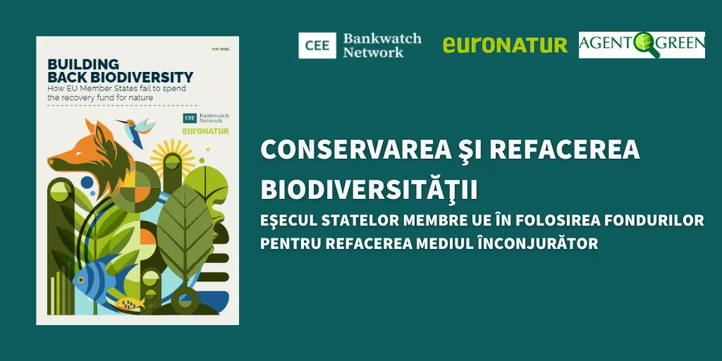 Un banner sulla conservazione e il ripristino della biodiversità accanto alla copertina del rapporto Building Back Biodiversity.