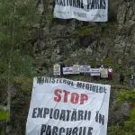 Signs calling for an end to logging in national parks, on a rocky slope.
