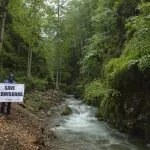 A stream between rocky, wooded slopes, with a sign beside the water.