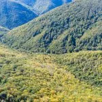 Un versante boscoso visto da una cresta.
