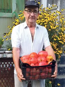Ein Mann hält eine Kiste Tomaten.