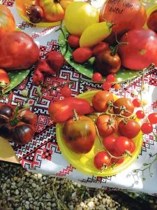 Ein Mann mit einer Tomatenkiste neben Blumen.