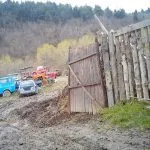 Curte cu poartă deschisă către un teren împădurit.