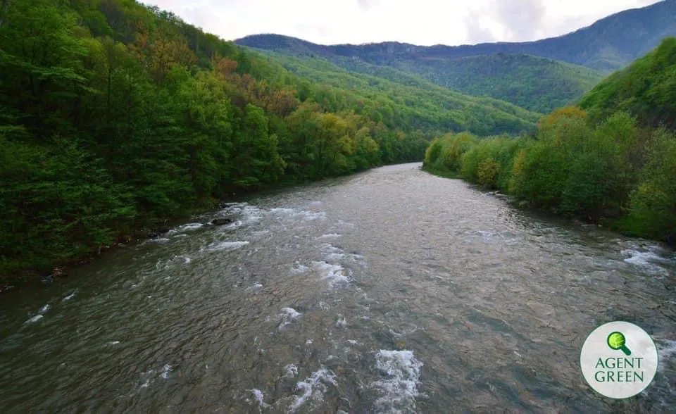 River between forested slopes, with the Agent Green logo.