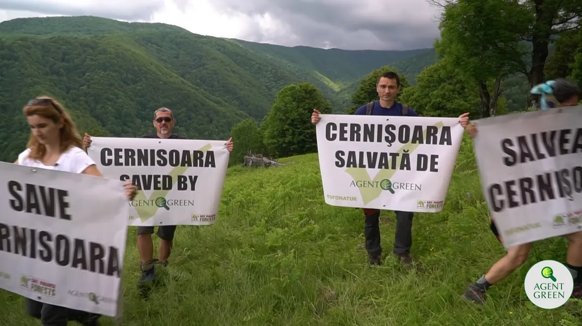 People holding signs about saving Cernișoara in a meadow, with forested slopes behind them.