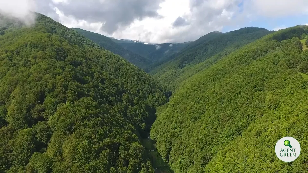 Peisaj montan împădurit, cu o vale între versanți și sigla Agent Green