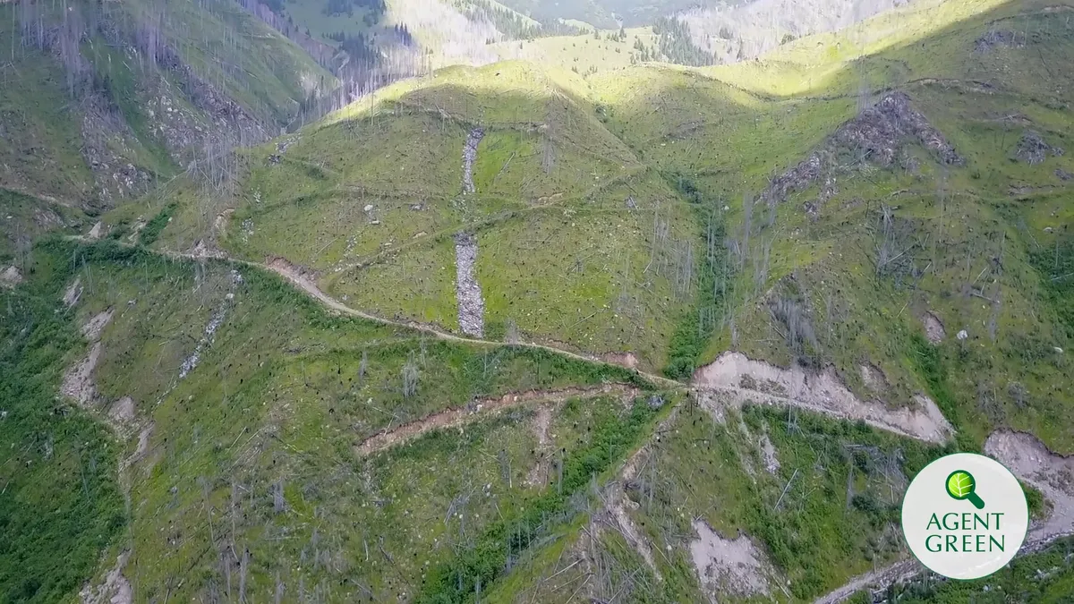 Mountain slopes with tracks and treeless areas, with the Agent Green logo.