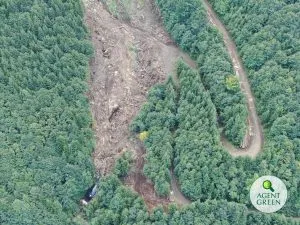 Vista desde arriba de una superficie talada entre bosques, con el logotipo de Agent Green.