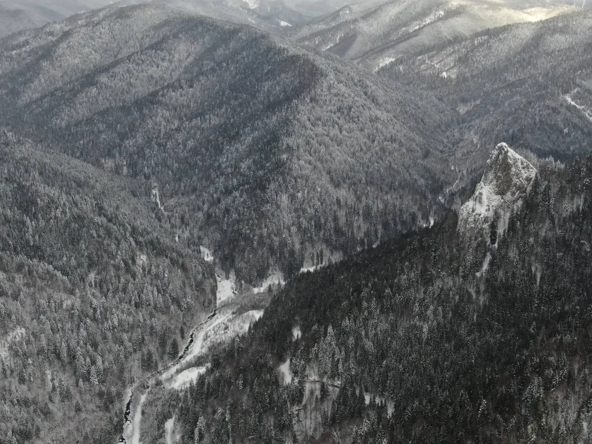 Overhead view of a forested mountain valley partly covered in snow.