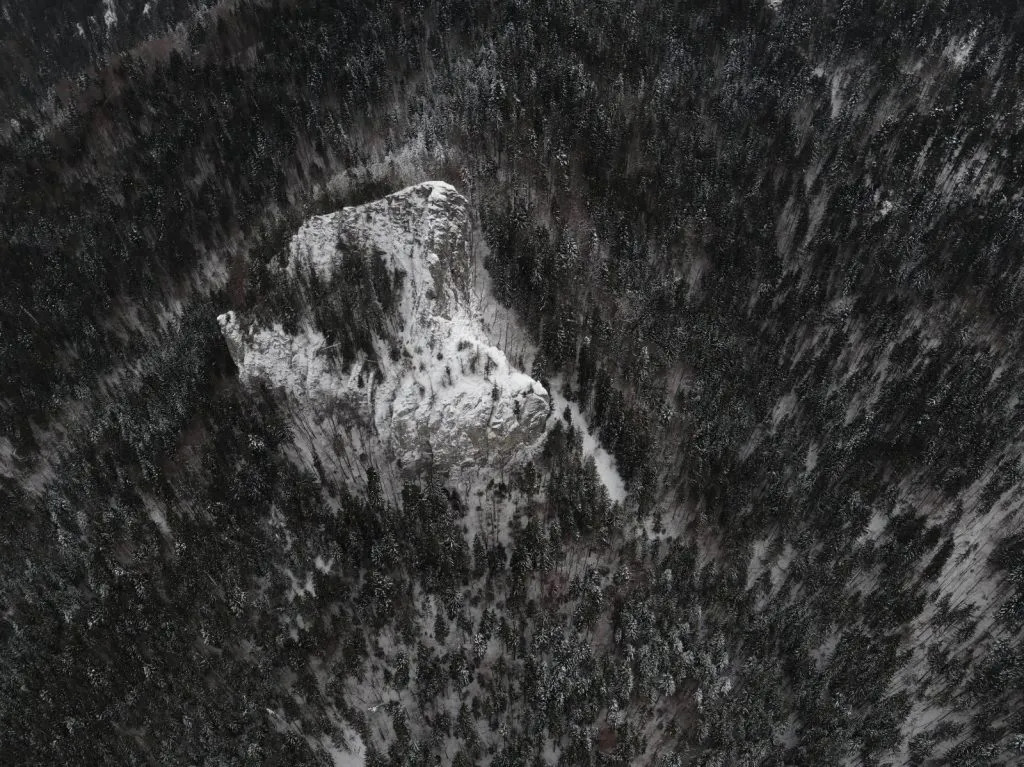 Blick von oben auf einen verschneiten Wald und einen Felsen.