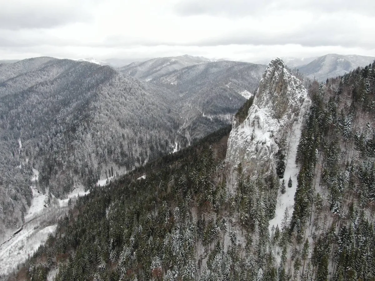 Rocky ridge above a forest partly covered in snow.