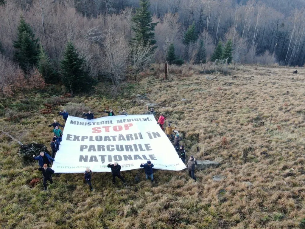 People holding a large banner against logging in national parks in a logged area.