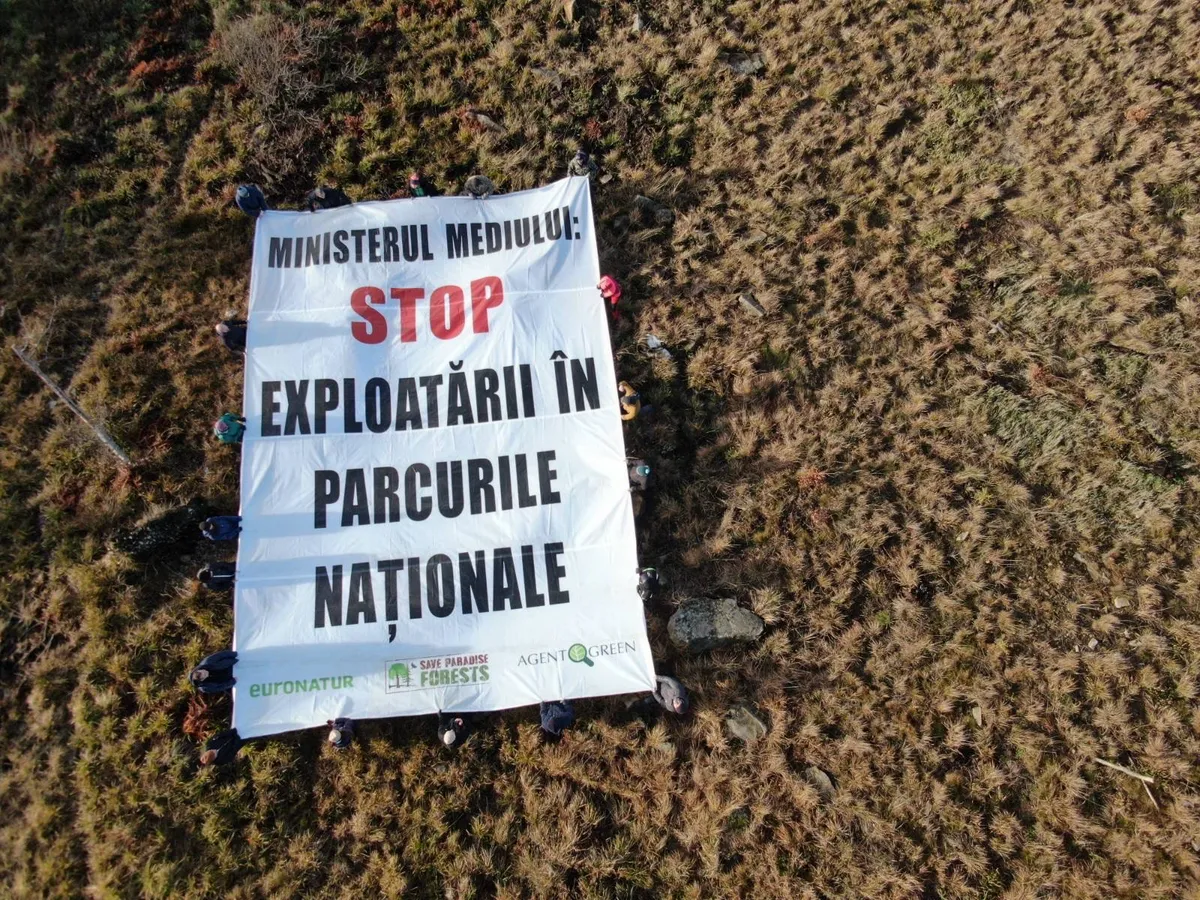 Auf einer abgeholzten Fläche ausgebreitetes Banner mit der Aufschrift „Umweltministerium: STOPP DER HOLZNUTZUNG IN NATIONALPARKS“.