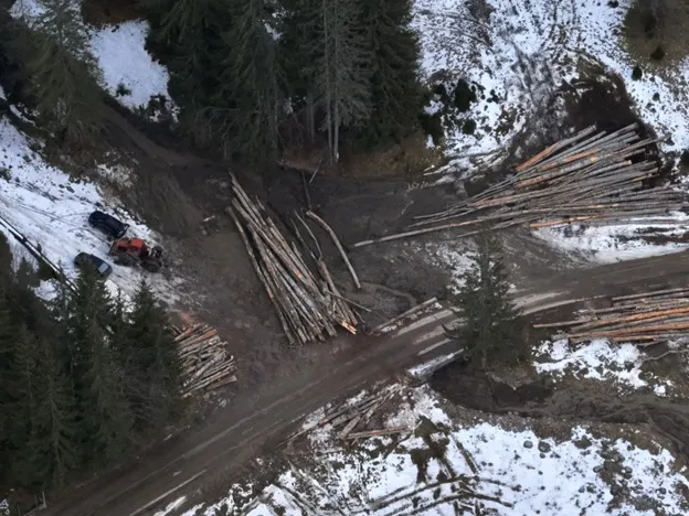 Veduta aerea di cataste di tronchi accanto a una strada e a un bosco innevato