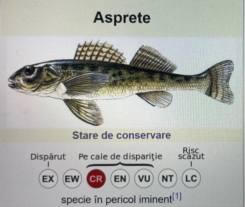 Illustrazione dell’asprete e diagramma dello stato di conservazione