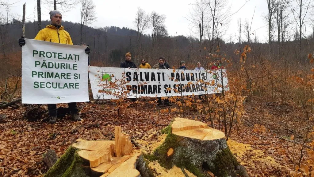 Partecipanti con striscioni per la protezione della natura, dietro una ceppaia