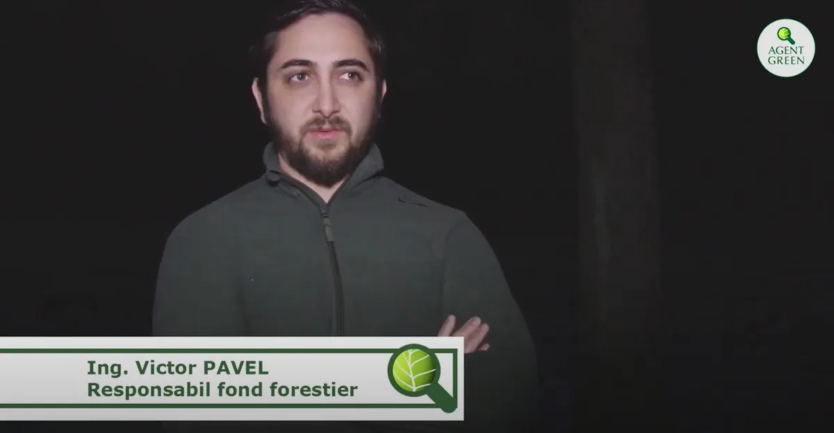 Videobild des Ingenieurs Victor Pavel, der auf dem Bildschirm als Verantwortlicher für den Waldbestand bezeichnet wird.