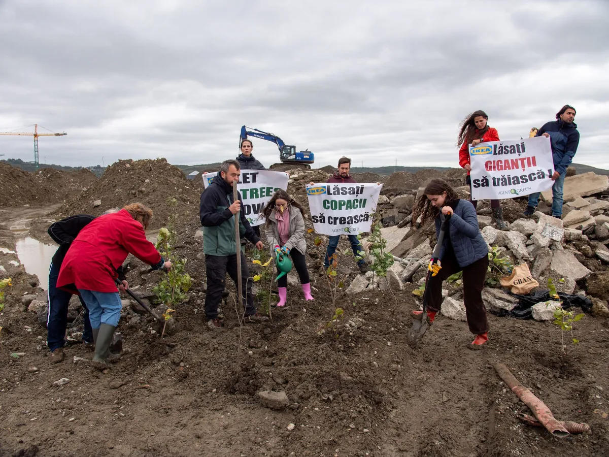 Participants plant saplings among earth and rocks, holding signs addressed to IKEA