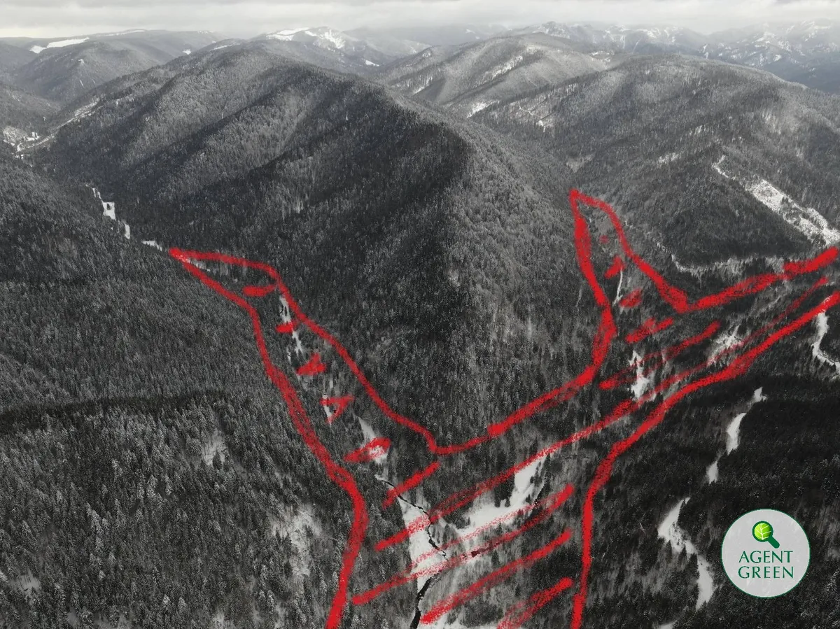 Grayscale aerial view of forested mountains, with areas outlined in red and the Agent Green logo.