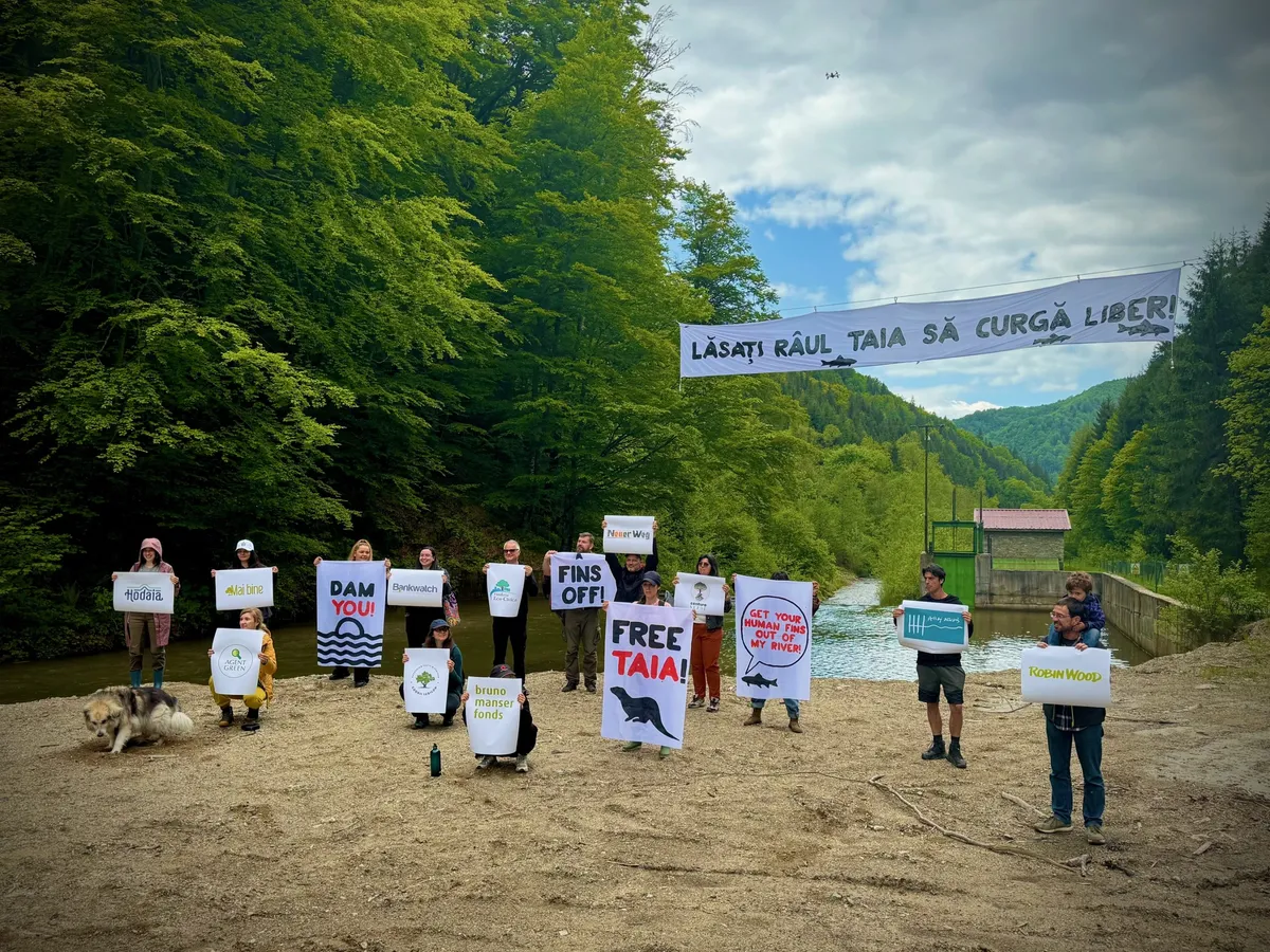 Participants with placards beside the river and a banner reading “Let the Taia River flow freely!”