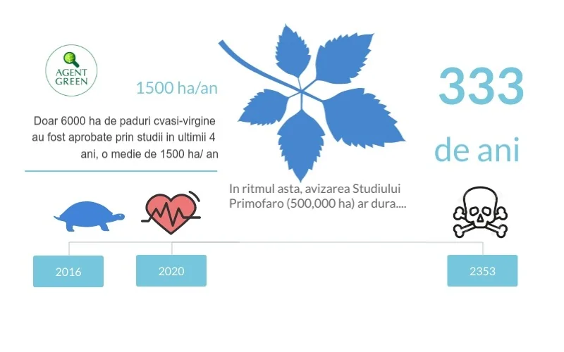 Infographic about the time needed for a quasi-virgin forest to recover