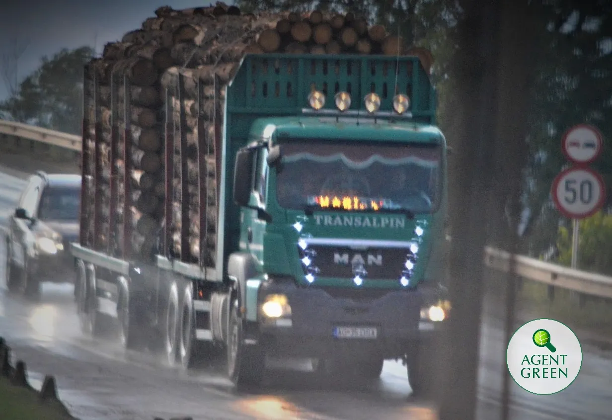 Camion carico di tronchi su una strada, con il logo Agent Green