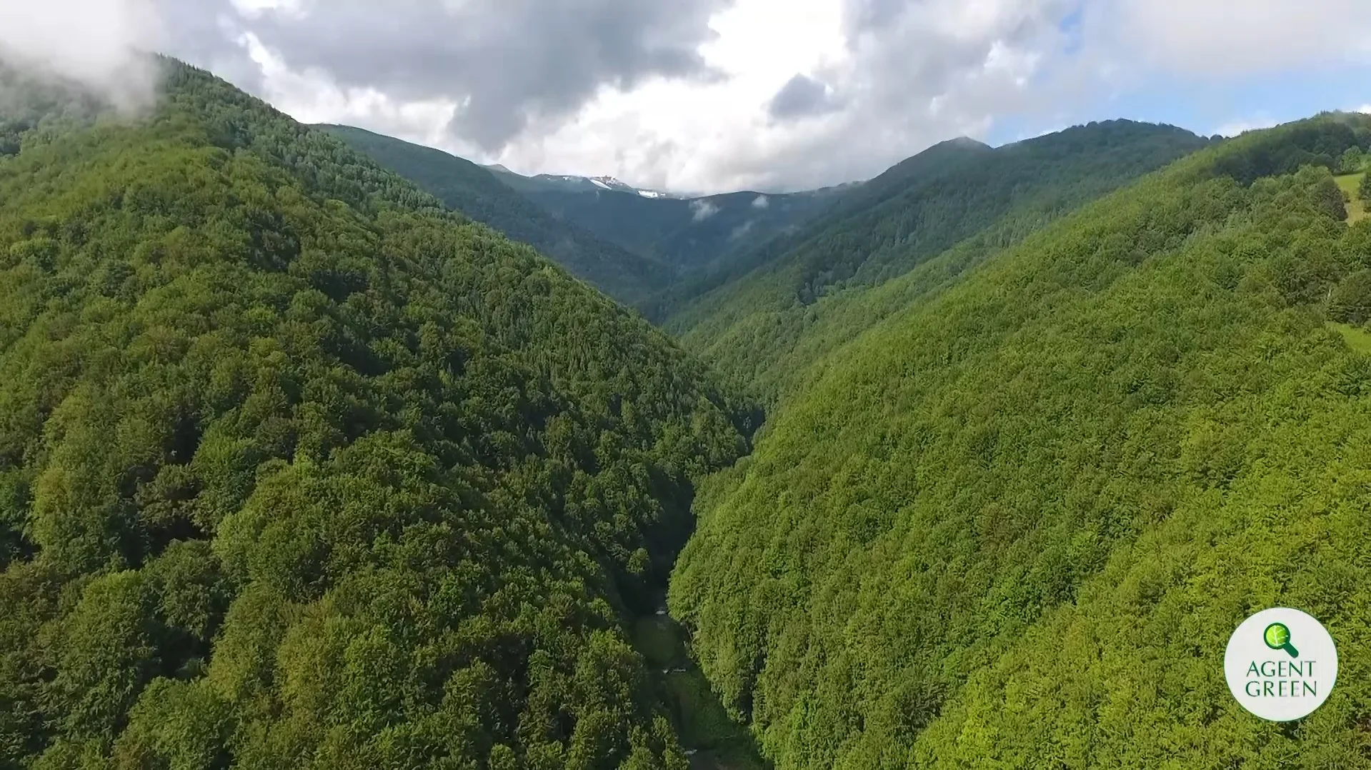 Vedere aeriană asupra pădurilor din bazinul Cernișoara, Parcul Național Domogled - Valea Cernei